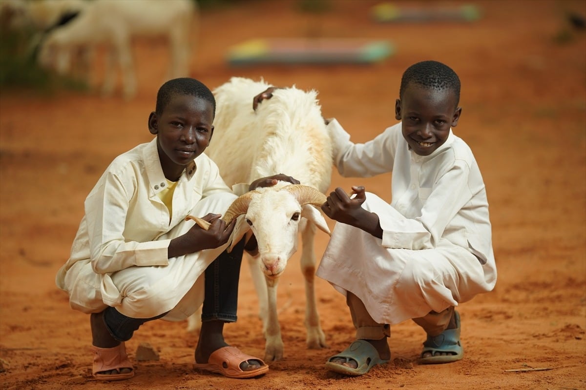 Afrika Kurban Organizasyonu
