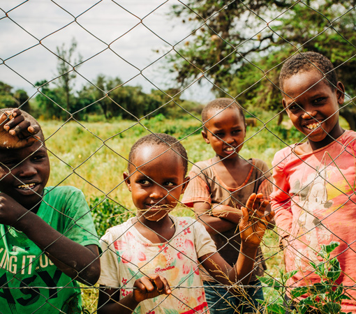 Afrika Kurban Bağışı